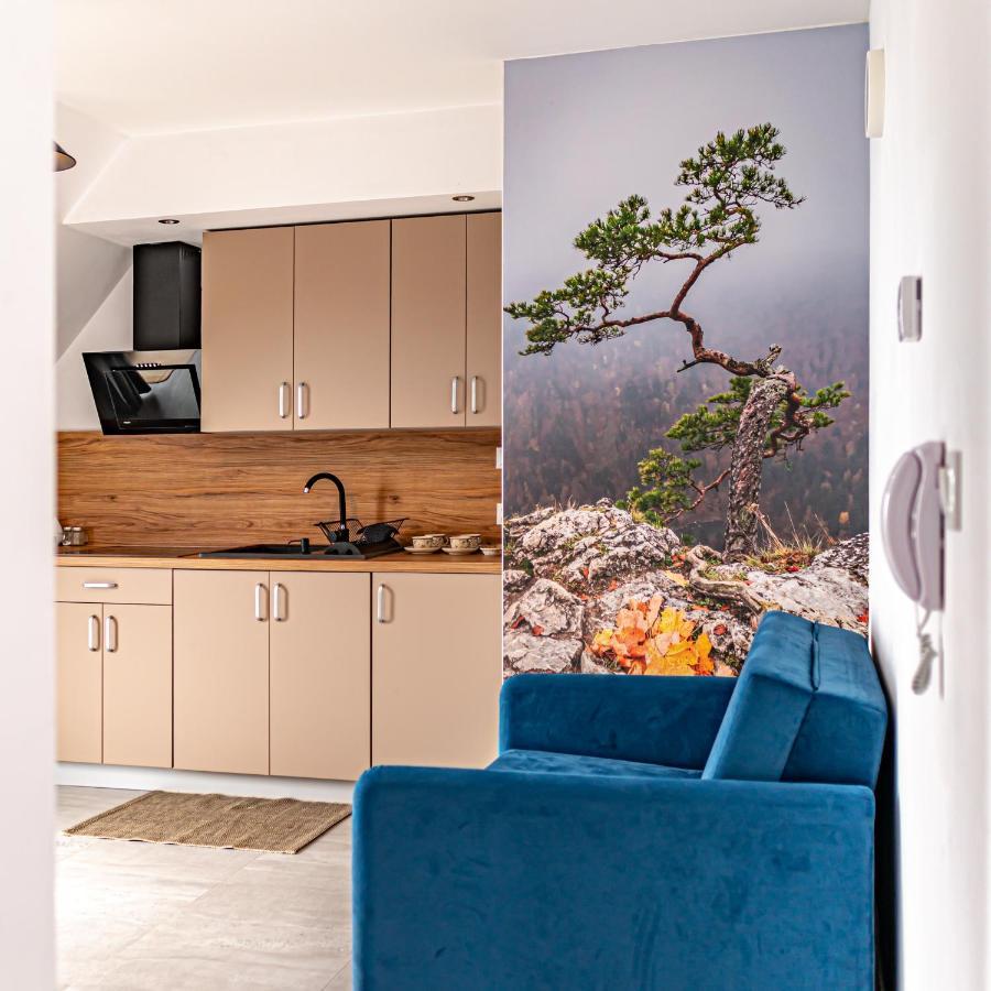 Velo Apartamenty Czorsztyn Ngoại thất bức ảnh